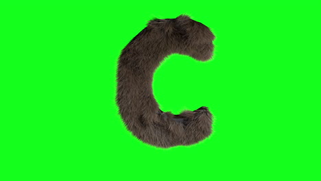 Furry-Hairy-3d-letter-c-on-green-screen